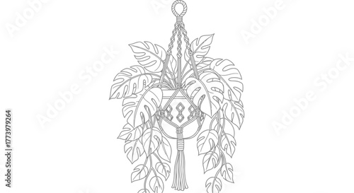 Macrame Plant Hanger with Monstera Leaves Line Art Illustration for DIY Craft Projects, Interior Design, and Botanical-Themed Creative Designs