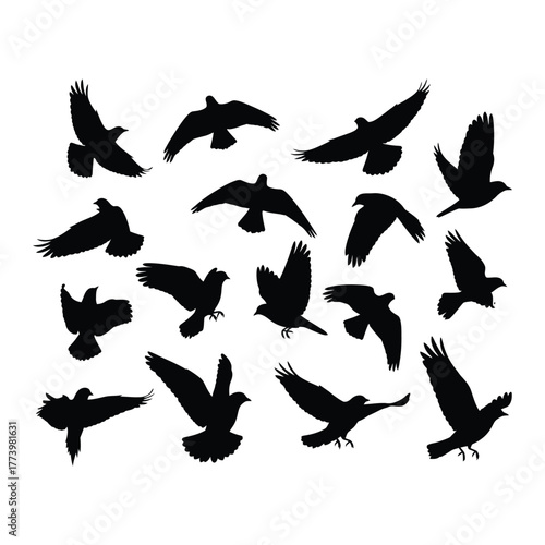 Collection of black silhouette bird flock flying in different poses against white background