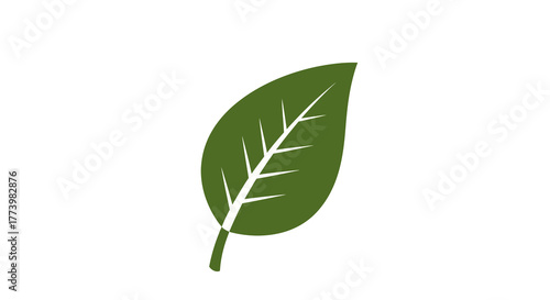 Minimalist green leaf on white background: symbol of nature and growth