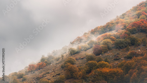 Vibrant Autumn Foliage and Mist on a Steep Mountain Slope