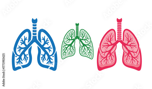 Stylized illustration of human lungs in blue, green, and red, symbolizing health, disease, and medical concepts