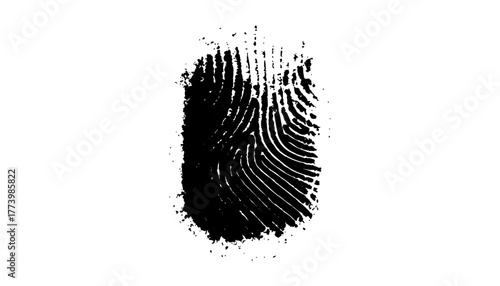 Single fingerprint against a bright white background. Vector black fingerprint on a white background. High-quality black fingerprint isolated on a white background, biometric ID scan. 