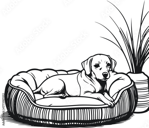 Dog bed and cushion outline illustration, soft rounded shapes, white background, thin and thick stroke mix, cozy pet furniture vector 1