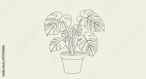 Stylized line art illustration of a vibrant Monstera deliciosa houseplant in a simple pot, set against a minimalist, pale cream background.