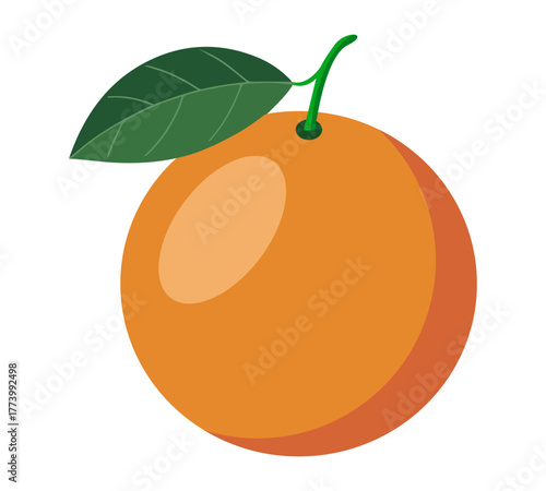 Orange fruit vector illustration with green leaf and stem