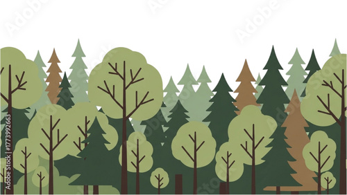 Green Forest Illustration Dense Woods with Various Trees