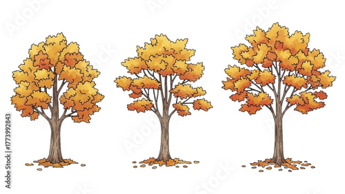 Autumn Trees Collection
