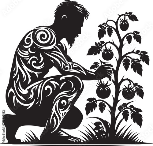 Silhouette of a man with intricate tattoos tending to a tomato p