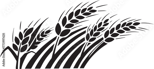 Elegant vector design illustrating stylized wheat stalks against