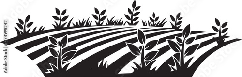 Monochrome portrayal of cultivated fields sprouting crops in min
