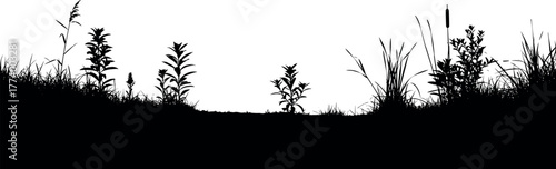 Silhouette of a grassy meadow with small plants and reeds against a white background, representing nature and the outdoors