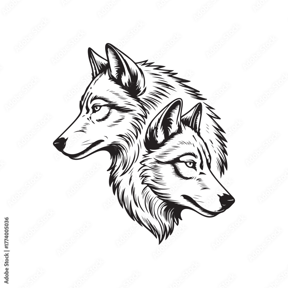 Naklejka premium Abstract wolf illustration showing two heads facing each other balanced composition fine line vector ideal for tattoo design and stock graphics.01