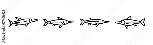 Graceful garfish vector illustration for aquatic designs