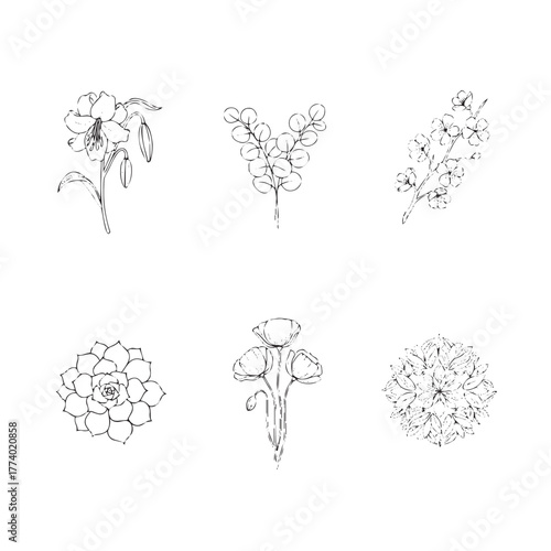 Hand-drawn garden flower and herb illustration pack for wellness branding, logos, or sophisticated wedding stationery.