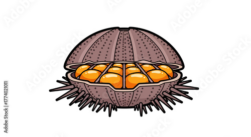 Vector25670 retro sea urchin roe