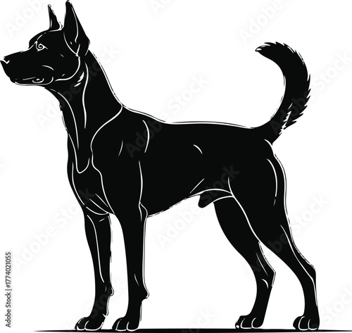 Standing dog pose with tail up, smooth black contour, white background, balanced proportion, simple anatomy details, clean modern vector illustration