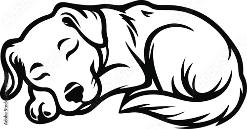Sleeping dog curled pose, soft line contour, white background, peaceful minimal design, pet shop branding style, editable black line vector