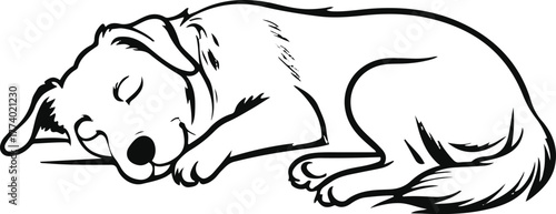 Sleeping dog curled pose, soft line contour, white background, peaceful minimal design, pet shop branding style, editable black line vector 3