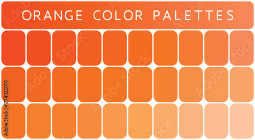 Orange Color Palette. Orange color isolated on white background.