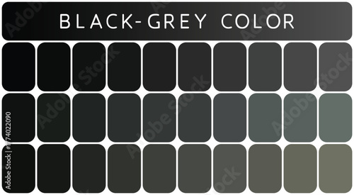 Black - grey Color Palette. Black - grey color palette isolated on white background.
