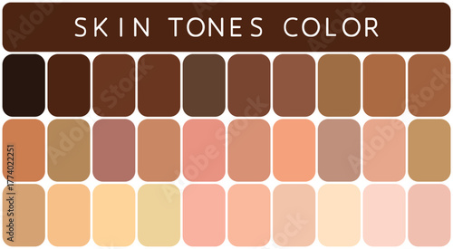 Skin tones Color Palette. Skin tones color palette isolated on white background. 