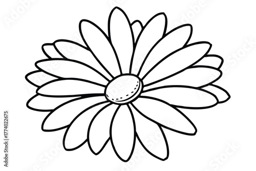 daisy black and white line art silhouette on white background