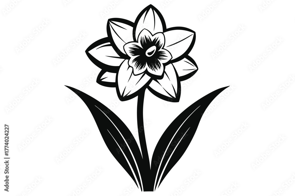 Obraz premium daffodil black and white silhouette on white background
