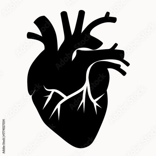 Anatomical heart illustration in black and white showing arteries and veins in a simple graphic style