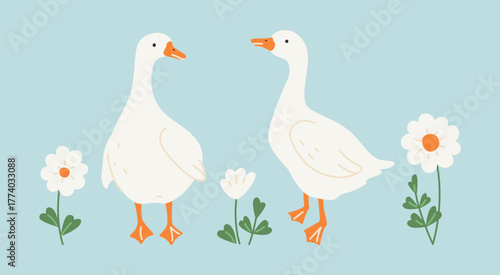 White daisy flowers and geese