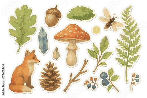 Midsummer Forest Stickers. Midsummer forest magic. Realistic hand-painted watercolor style sticker sheet of