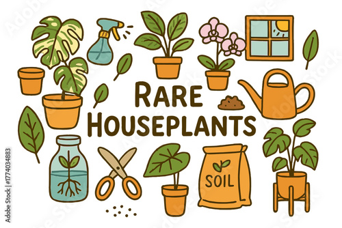 Rare Houseplants Illustration. Rare Houseplants. Hand-drawn doodle illustration of rare houseplants. Monstera