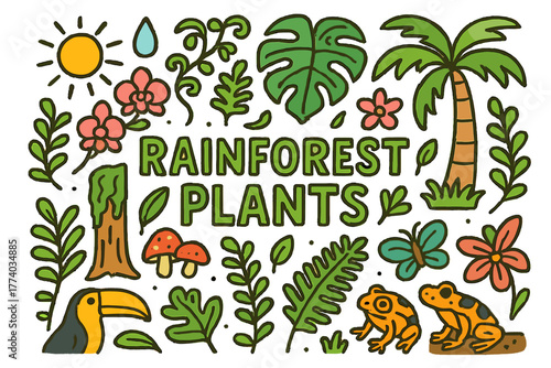 Rainforest Doodle Art. Rainforest Plants. Hand-drawn doodle illustration of rainforest plants. Ferns, vines,
