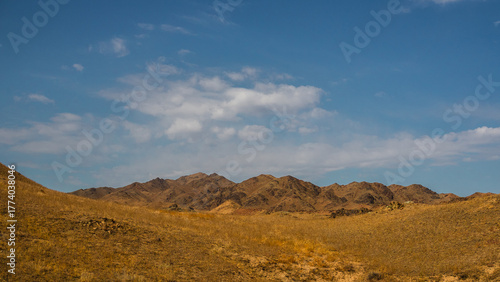 Tranquil steppe landscape with soft hills and mountains under expansive cloudy sky