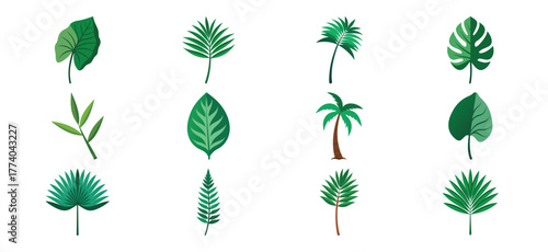 Collection of various green tropical palm leaves and plant elements isolated on white background