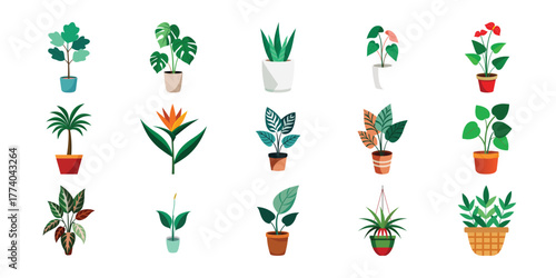 Collection of various potted houseplants and tropical plants in colorful pots illustration