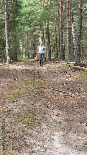 A woman walks through the forest along a narrow path carrying a basket of mushrooms. Peaceful green woodland with moss and sunlight filtering through the trees.