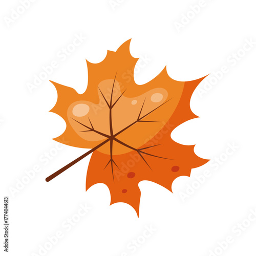 Cute autumn orange leaf in flat cartoon style  isolated on white background. Thanksgiving day decorations.Maple leaf. Fall element. Autumn plants. Foliage element. Autumn sticker. Vector illustration.