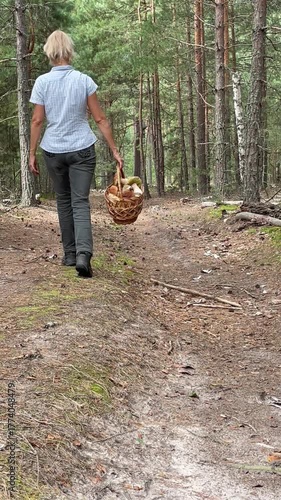 A woman with a basket of mushrooms walks away along a forest path. Peaceful nature scene with green trees, soft moss, and calm outdoor atmosphere.