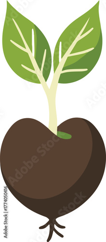 sprouting seed flat vector illustration