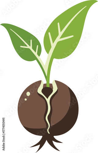 Green sprout grows from the ground. Realistic vector illustration. It symbolizes life and development and ecology.
