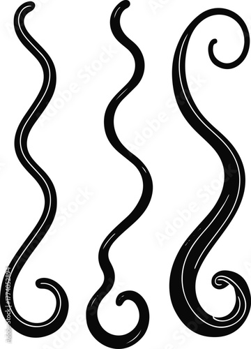 Cat tail shape variations set, simple black outline, white background, different curve and fluff styles, educational and branding-friendly