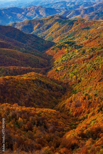 autumn in the mountains, Balkan mountain, Bulgaria