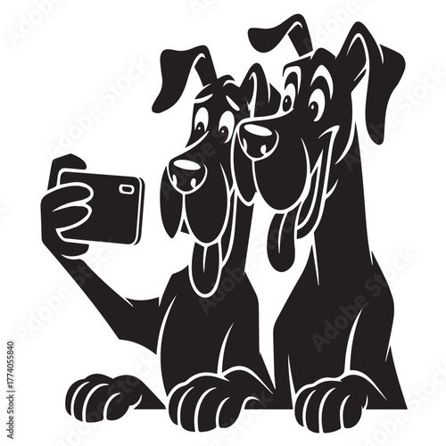 Two great danes taking a selfie isolated on white background