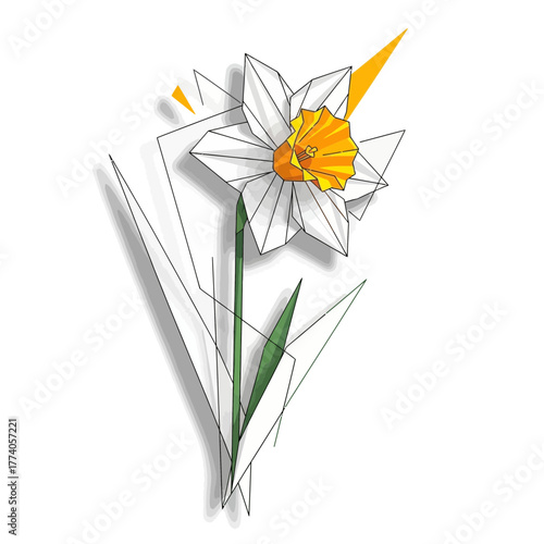 Two white daffodil flowers with yellow centers and green stems on white background.