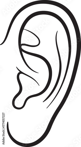 Simple elegant black line drawing of a human ear minimalist outline illustration for medical or anatomical concepts