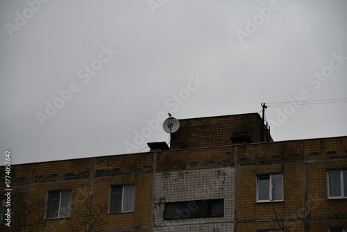 Beautiful maple leaves in autumn sunny day in foreground and blurry background in Kyushu, Japan. No people, close up, copy space