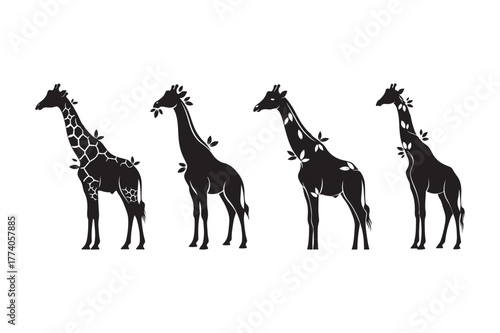 Four silhouette giraffes with textured detail on white background