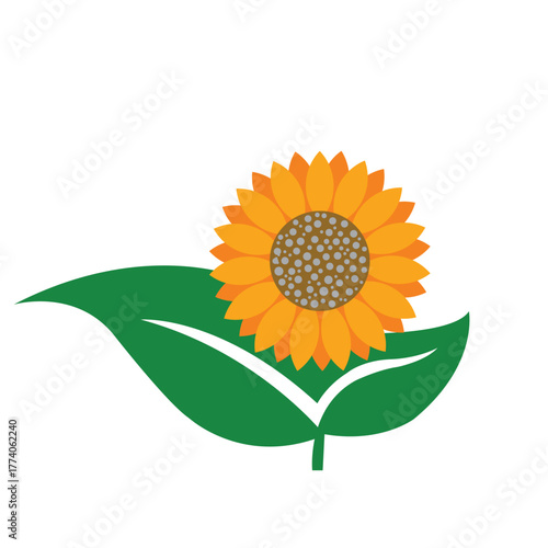 Radiant Sunflower A Modern Illustration Design On White Background.