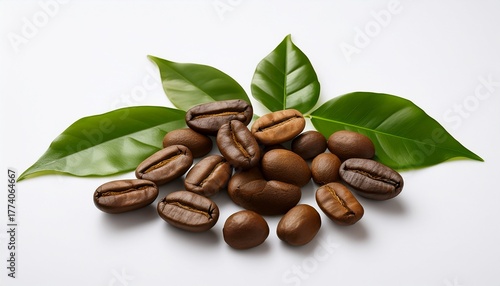 unique kopi luwak coffee beans from indonesia presented with leaves on a clean white background