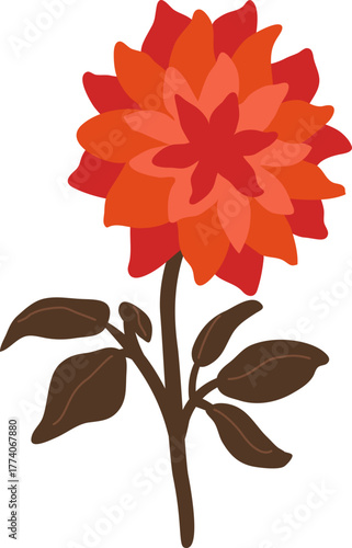 red dahlia flower